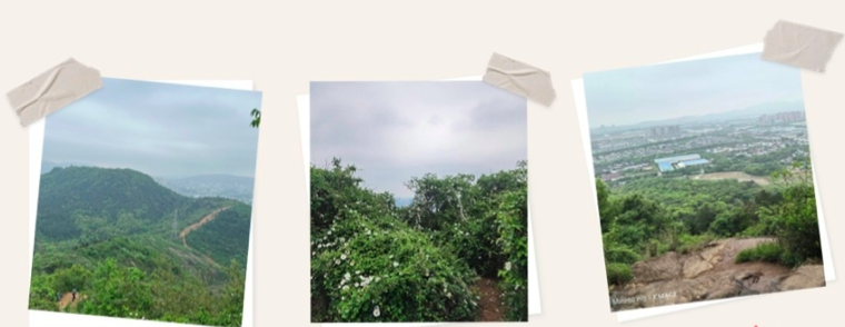 yh818银河官网(中国)股份有限公司