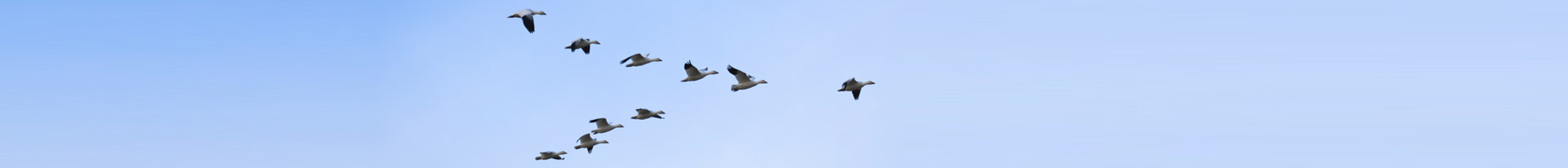 yh818银河官网(中国)股份有限公司