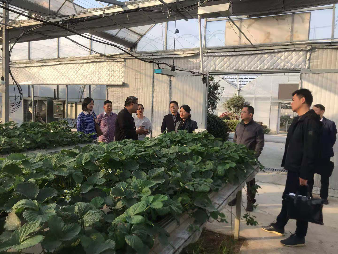 pg电子模拟器(中国游)官方网站